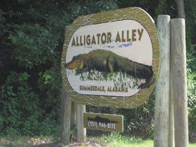 AlligatorAlley-2009