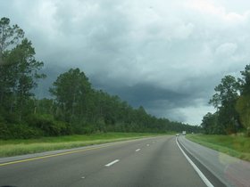 AlligatorAlley-2010