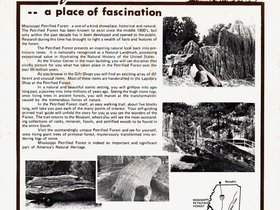 album2_page36_pic5.jpeg