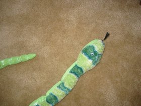 20060604