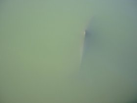 00149.jpg