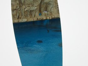 00168.jpg