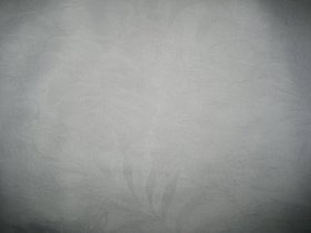 00017.jpg