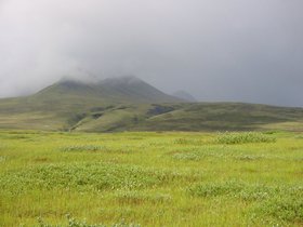 00047.jpg
