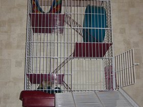00061.jpg