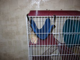 00062.jpg