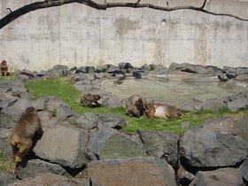 00030.jpg