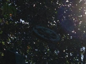 00042.jpg