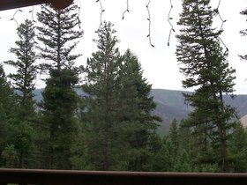 Montana-2001