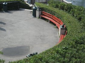 00046.jpg