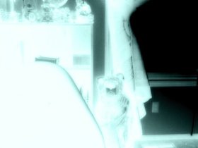 00233.jpg