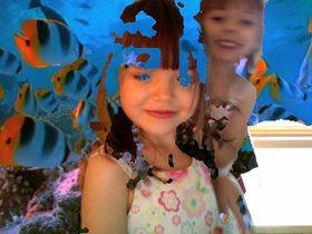 00252.jpg