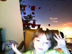 00491.jpg