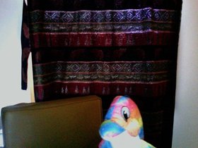 00523.jpg
