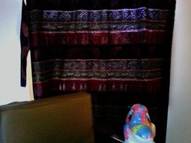 00531.jpg