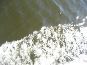 00043.jpg