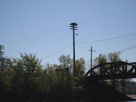 00056.jpg